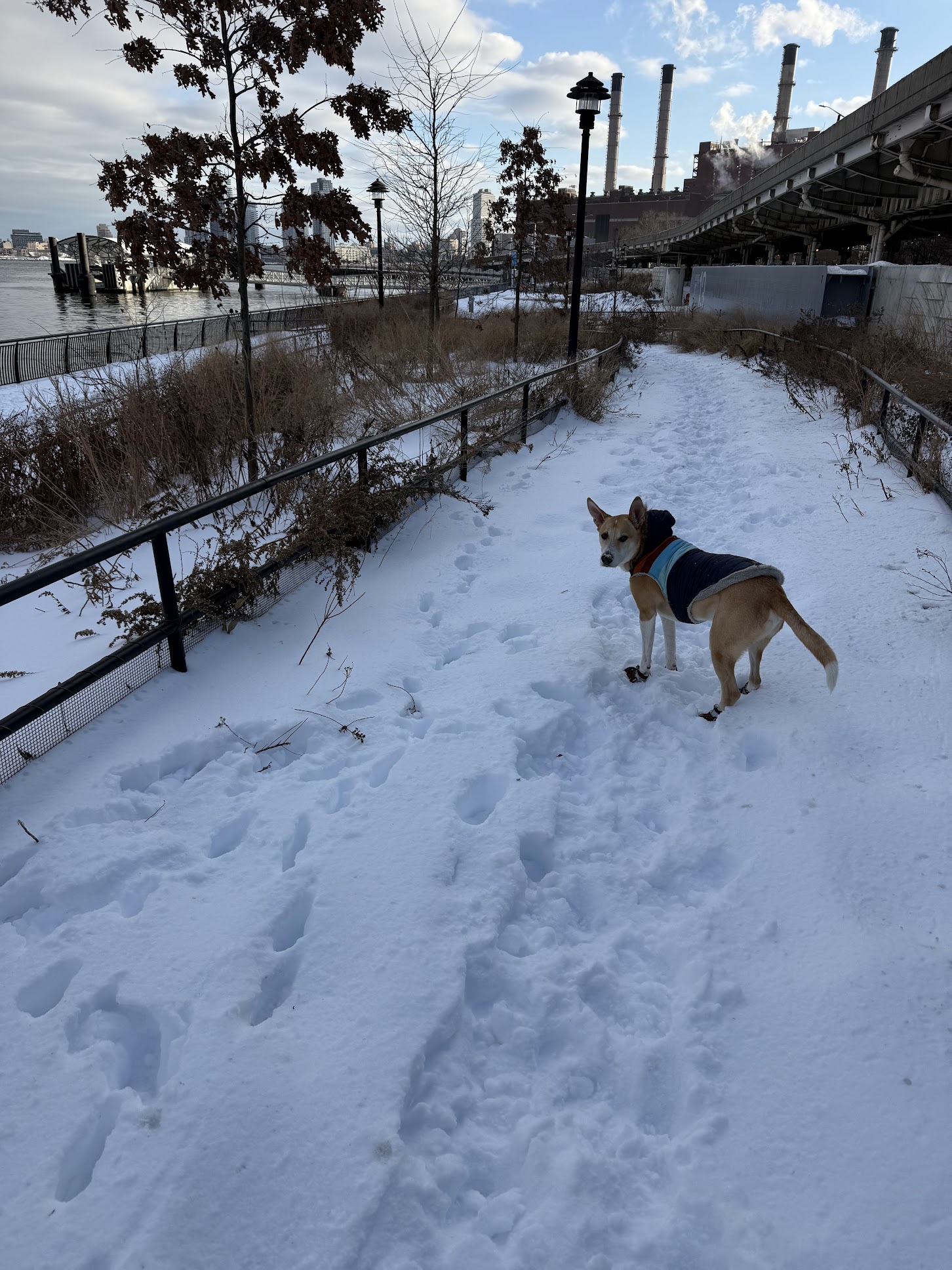 Big Ears NYC along the Hudson River